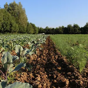 https://agriturismo-corte-bertesina.hotelinveneto.com